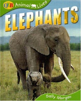 Elephants Qeb Animal Lives B008MZN64C Book Cover