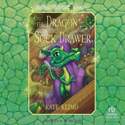 The Dragon in the Sock Drawer B0G7VL7WTH Book Cover