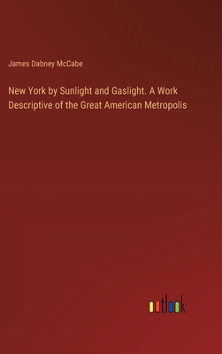 New York by Sunlight and Gaslight. A Work Descr... 3385391156 Book Cover