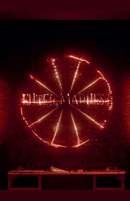 Enter Madness B0FWPZXJWQ Book Cover