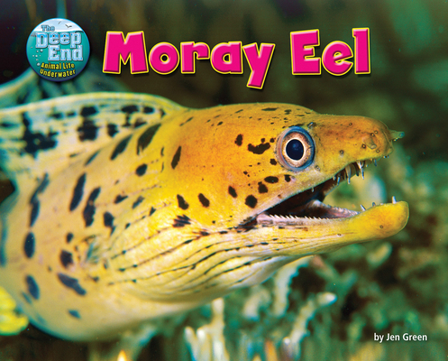 Moray Eel 1642808121 Book Cover