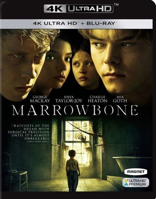 Marrowbone            Book Cover