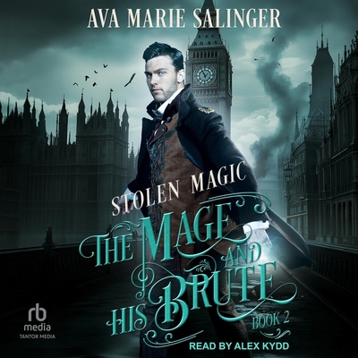 Stolen Magic B0G8FH3N47 Book Cover