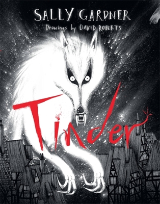 Tinder 1780621485 Book Cover
