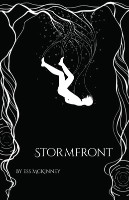 Stormfront: Stormbearers: Book 1 B0D5BNK9JC Book Cover