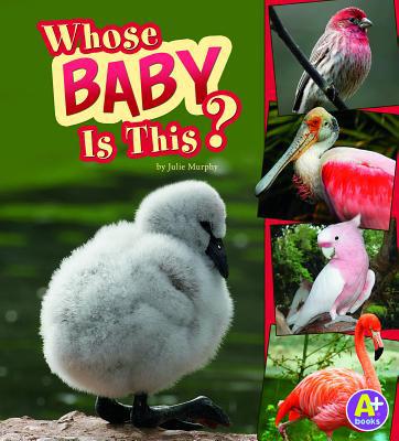 Whose Baby Is This? 1429675535 Book Cover