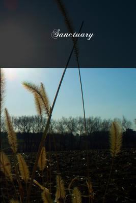 Sanctuary 1479396451 Book Cover