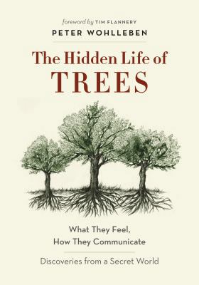 The Hidden Life of Trees 1863958738 Book Cover