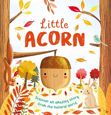 Nature Stories: Little Acorn: Padded Board Book 1800228821 Book Cover