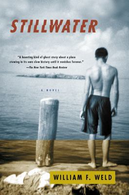 Stillwater: A Novel 0156027232 Book Cover