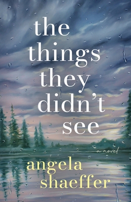 The Things They Didn't See B0F6XTHVC4 Book Cover