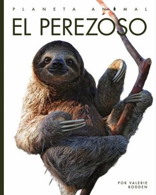 El Perezoso [Spanish] 1640265864 Book Cover