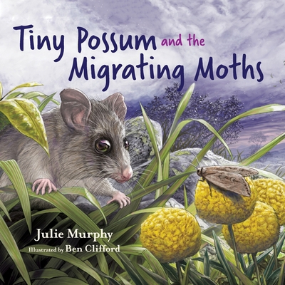 Tiny Possum and the Migrating Moths 1486322921 Book Cover