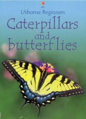 Caterpillars and Butterflies 0746047045 Book Cover