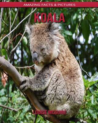 Koala: Amazing Facts & Pictures B088BD9N5X Book Cover
