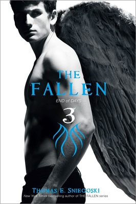 The Fallen 3: End of Days 1442423498 Book Cover