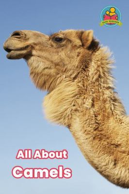 All About Camels (Read Together) 1648240127 Book Cover