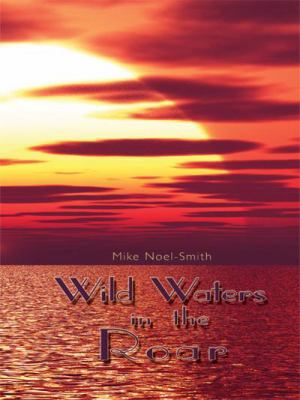 Wild Waters in the Roar 1438904207 Book Cover