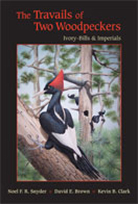 The Travails of Two Woodpeckers: Ivory-Bills & ... 0826346642 Book Cover