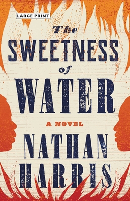 The Sweetness of Water [Large Print] 0316362891 Book Cover