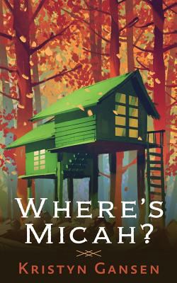 Where's Micah? 1718868227 Book Cover