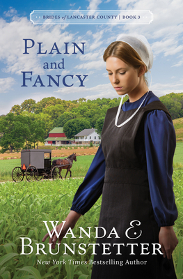 Plain and Fancy: Volume 3 1636097065 Book Cover