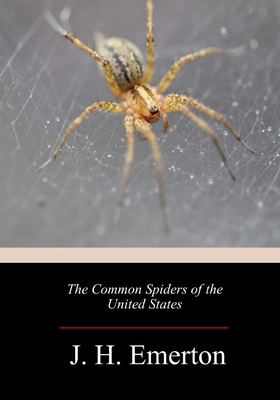 The Common Spiders of the United States 1718675879 Book Cover