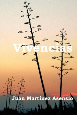 Vivencias [Spanish] B08XL7YT84 Book Cover