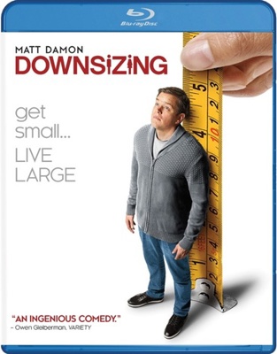 Downsizing [Spanish]            Book Cover