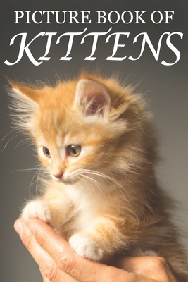 Picture Book of Kittens: Picture Book of Kitten... 1689215054 Book Cover