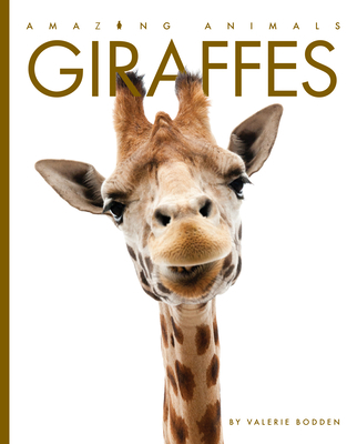 Giraffes 1628327669 Book Cover