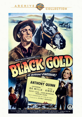 Black Gold            Book Cover