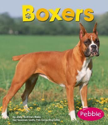 Boxers 1429608099 Book Cover