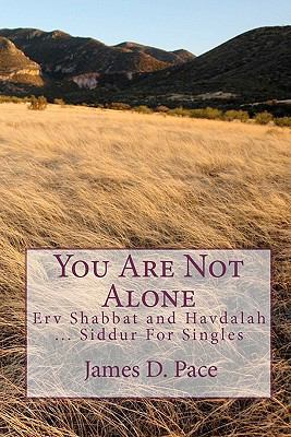 You Are Not Alone: Erv Shabbat to Havdalah ... ... 1442131764 Book Cover