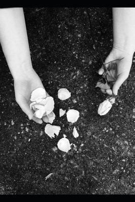 The Angel of Death 1794438009 Book Cover