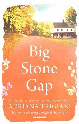 Big Stone Gap 1471192571 Book Cover