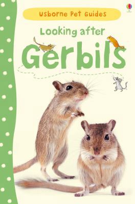 Looking After Gerbils (Usborne Pet Guides) 1409561879 Book Cover