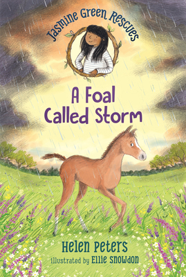 Jasmine Green Rescues: A Foal Called Storm 1536222720 Book Cover