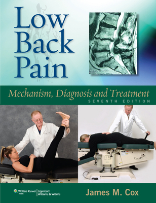 Low Back Pain: Mechanism, Diagnosis, and Treatment 1608310027 Book Cover