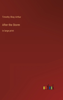 After the Storm: in large print 3368333054 Book Cover