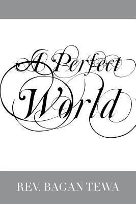 A Perfect World 1469194848 Book Cover