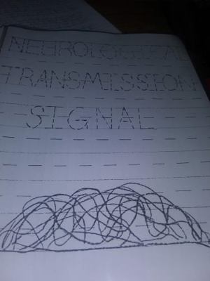 Hardcover Cory Deaundra' Whites Neurological Transmission Signal Emittance Pattern Mapping Schema : Cory Deaundra' White's Neurological Transmission Signal System Book
