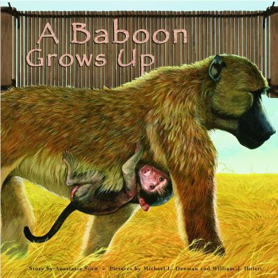 A Baboon Grows Up (Wild Animals) 1404817972 Book Cover