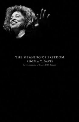 The Meaning of Freedom 0872865037 Book Cover