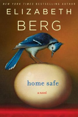 Home Safe: A Novel 1400065119 Book Cover
