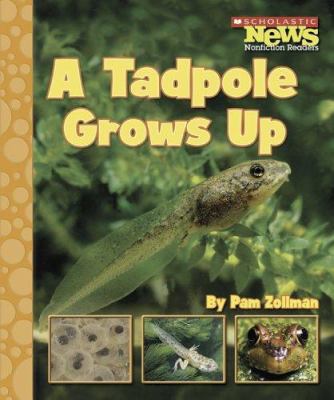 A Tadpole Grows Up 0516249479 Book Cover