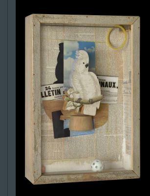 Birds of a Feather: Joseph Cornell's Homage to ... 1588396274 Book Cover