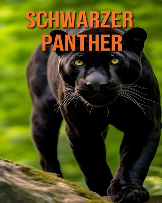 Schwarzer Panther: Lustige und faszinierende Fa... [German] B0CY8S4KXM Book Cover