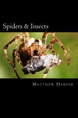 Spiders & Insects: Two Fascinating Books Combin... 1500495190 Book Cover