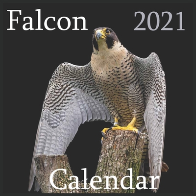 Falcon 2021: 2021 Wall & Office Calendar, 12 Month Calendar